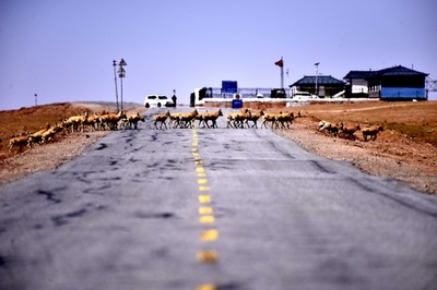 世界自然遺産登録が決定　ココシリの壮大な風景