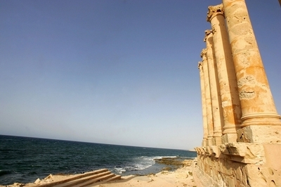 地中海の生物多様性、世界で最も危機的な状況に 国際調査