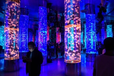 生命の奇跡に遭遇、メコン川流域で初の淡水魚水族館オープン