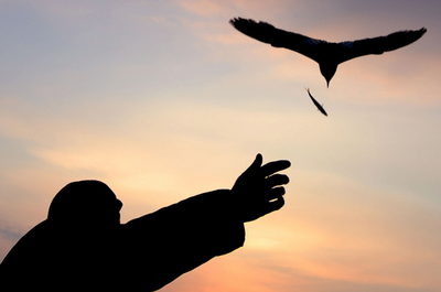 ナイスキャッチ! 魚をもらうカモメたち　トルコ