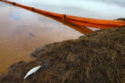 ロシア軽油流出、3人逮捕 浄化「何年もかかる」