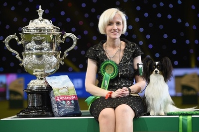 最高賞にパピヨンの「ディラン」、世界最大規模の英ドッグショー