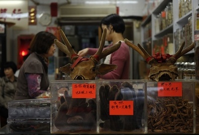 中国伝統薬から高濃度のヒ素検出、スウェーデン食糧庁