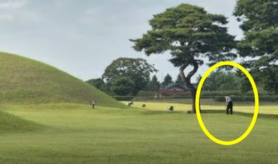 韓国・「王が眠る場所」でゴルフ練習…外国人観光客が写真公開「こんなこと、あり？」
