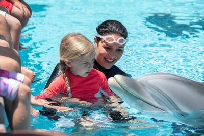 本物そっくりロボットイルカ 子どもらに人気