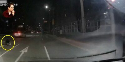 運転中に「ゾッとした」…韓国・夜間の4車線道路で土下座する男性