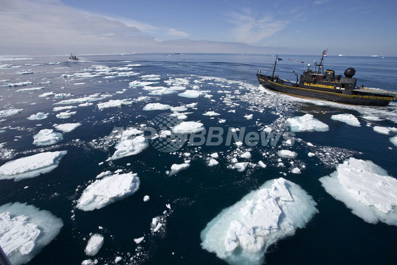 シー・シェパードが調査捕鯨妨害、南極海