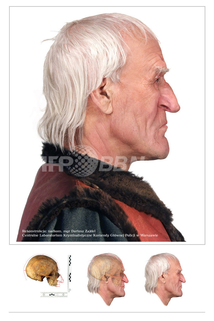 コペルニクスの遺骸、DNA鑑定で確認される 2世紀にわたる墓探しに終止符