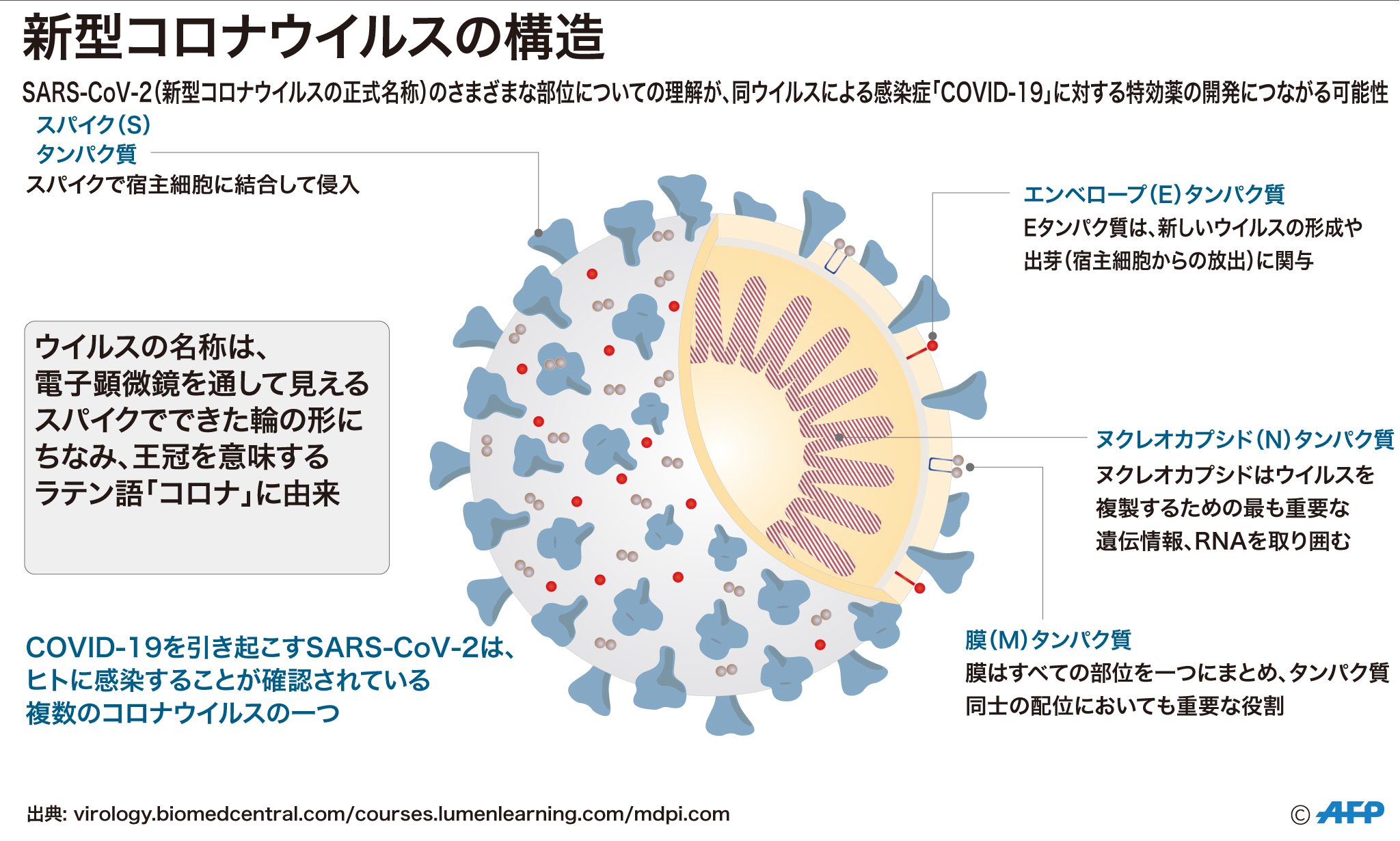 特集：新型コロナウイルス感染症「COVID-19」