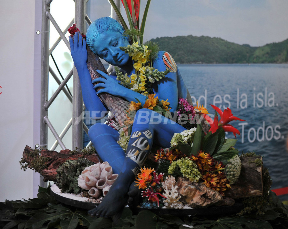 サンゴ守って モデルがボディーペイントでアピール コスタリカ 写真3枚 国際ニュース Afpbb News