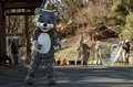 東京・日野市の多摩動物公園で行われた捕獲訓練に登場したユキヒョウ役の職員（2015年2月10日撮影）。(c)AFP/TOSHIFUMI KITAMURA