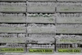 英キュー王立植物園の研究所に冷凍保管されている植物のDNA（2016年5月9日撮影）。(c)AFP/DANIEL LEAL-OLIVAS