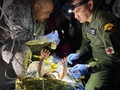 コロンビアのジャングルで見つかった子どもの健康状態を調べる兵士。大統領府提供（2023年6月10日提供）。(c)AFP PHOTO / COLOMBIAN PRESIDENCY