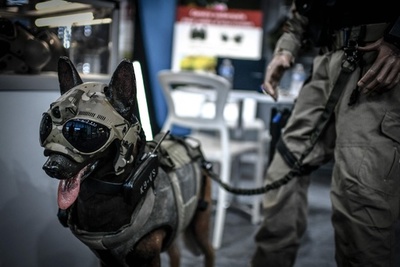 仏セキュリティー見本市、犬用カメラ付きマスクなど展示