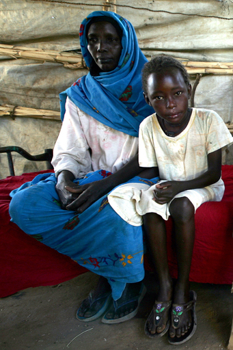 ダルフール難民、いまだ帰還できず - スーダン