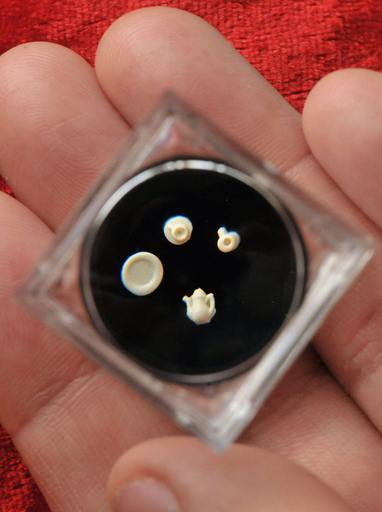 世界最小のティーセット、米粒とどっちが大きい？ドイツ