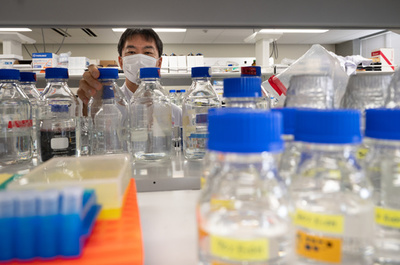 ネコの長寿を目指して…腎機能を助ける製剤研究に寄付殺到