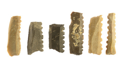 8500年前の井戸発見、中に男女の骨 イスラエル