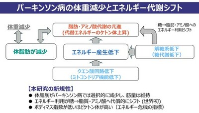 パーキンソン病における体重減少の謎を解明：体脂肪の減少と、エネルギー代謝のシフトが関与