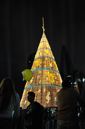 高さ112メートル、巨大ツリー点灯 メキシコ