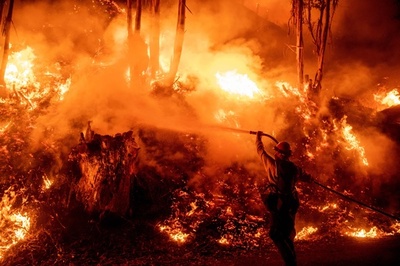 米加州の電力大手、山火事めぐり賠償金1900億円の支払いで合意へ