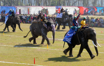 ネパールでゾウの祭典「国際ゾウレース」が開幕、ゾウ「美人」コンテストも