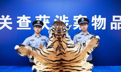 トラの皮など絶滅危惧種の製品密輸を摘発、広東省の税関