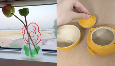 「お優雅女性」の列車の旅 動画投稿にツッコミ殺到=中国