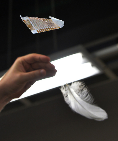 患者を監視する「ナノテクばんそうこう」開発、国際研究