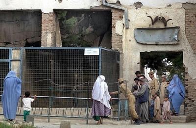 アフガニスタン唯一のブタ、パニック恐れた動物園が隔離