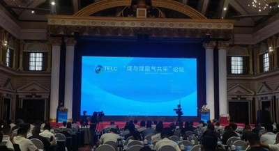 2024世界新エネルギー企業500強発表、中国企業がトップ20に12社占める