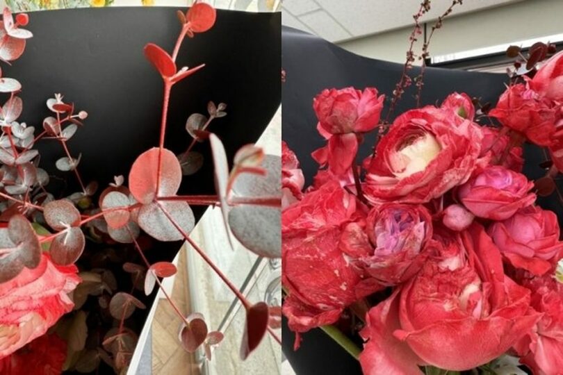 A氏が掲示文に添付した写真。花と葉の部分が赤く染まった＝オンラインコミュニティのキャプチャー(c)MONEYTODAY