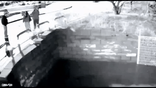 オンラインコミュニティ「痛いから社長だ」キャプチャー(c)NEWSIS