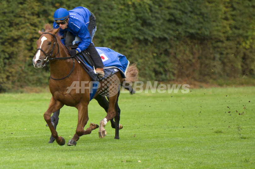 凱旋門賞、日本馬初優勝へ期待高まる
