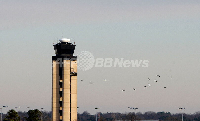 鳥と航空機の空をめぐる戦い、米機不時着事故