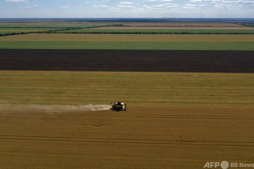 ウクライナ東部の農場、ロシアに穀物販売