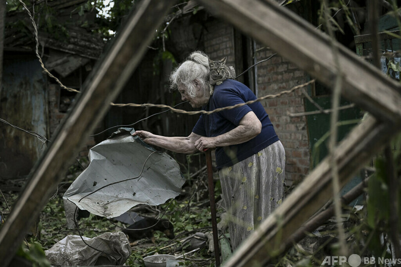 【写真特集】ウクライナ、戦禍の動物たち　写真45枚　国際ニュース：AFPBB News