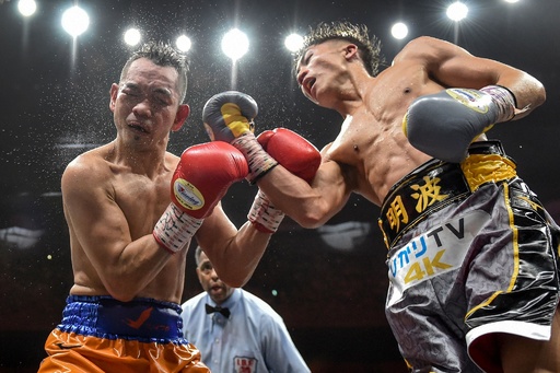 井上尚弥がドネアに判定勝ち、WBSSバンタム級を制覇 写真14枚 国際