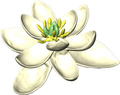 最初の花の3Dモデル。3枚一組の花被片、雄しべ、雌しべで花が構成されているのが分かる。仏パリ第11大学提供（2017年7月31日提供）。(c)AFP/UNIVERSITE PARIS-SUD / HERVE SAUQUET &amp; JURG SCHONENBERGER