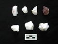 ギリシャ・クレタ（Crete）島南西部で見つかった13万年前ごろのものとみられる石器（撮影日不明、2011年1月3日ギリシャ文化省提供）。(c)AFP/MINISTRY OF CULTURE