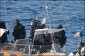 ソマリア沖のアデン湾（Gulf of Aden）でフランスのヨット「Tanit」号が海賊に乗っ取られた事件で、ヨットに乗り込み人質を救出する仏海軍の特殊部隊。

仏海軍の特殊部隊は10日、人質救出作戦を決行。人質5人のうち3歳の子どもを含む4人を救出したが、ヨットの所有者の男性1人が死亡した。海賊は2人が射殺され、3人が拘束された。（2009年4月10日仏軍提供）(c)AFP/ECPAD