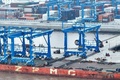 浙江省の寧波舟山港金塘港区のコンテナ埠頭で活躍する自動化クレーン（2023年4月21日撮影、資料写真）。(c)People’s Daily/姚峰