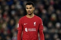 サッカーイングランドFAカップ3回戦、リバプール対ウォルバーハンプトン・ワンダラーズ。試合に臨むリバプールのコーディ・ガクポ（2023年1月7日撮影）。(c)Oli SCARFF / AFP