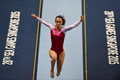 シンガポールで開催されている東南アジア競技大会で、体操女子の跳馬決勝に臨むマレーシアのファラー・アン・アブドル・ハジ選手（2015年6月9日撮影）。(c)AFP/ROSLAN RAHMAN