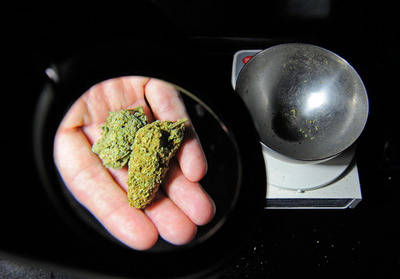 医療目的での大麻の使用拡大を求める、2州の知事が連邦政府に