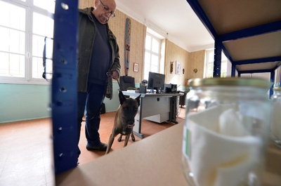 布をクンクン、乳がん検知 犬使った画期的診断法、仏で発表