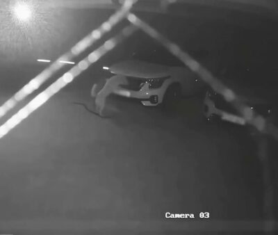 “襲撃犯”は野犬…韓国・朝起きたら車ボロボロ、保険処理はどうなる？