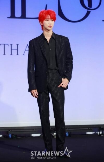 SEVENTEENのTHE8骨折、一部ライブやサイン会は参加