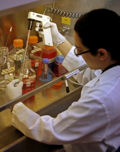 ES細胞研究への政府助成に仮差し止め命令、米地裁