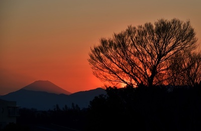 【記者コラム】日本での再出発